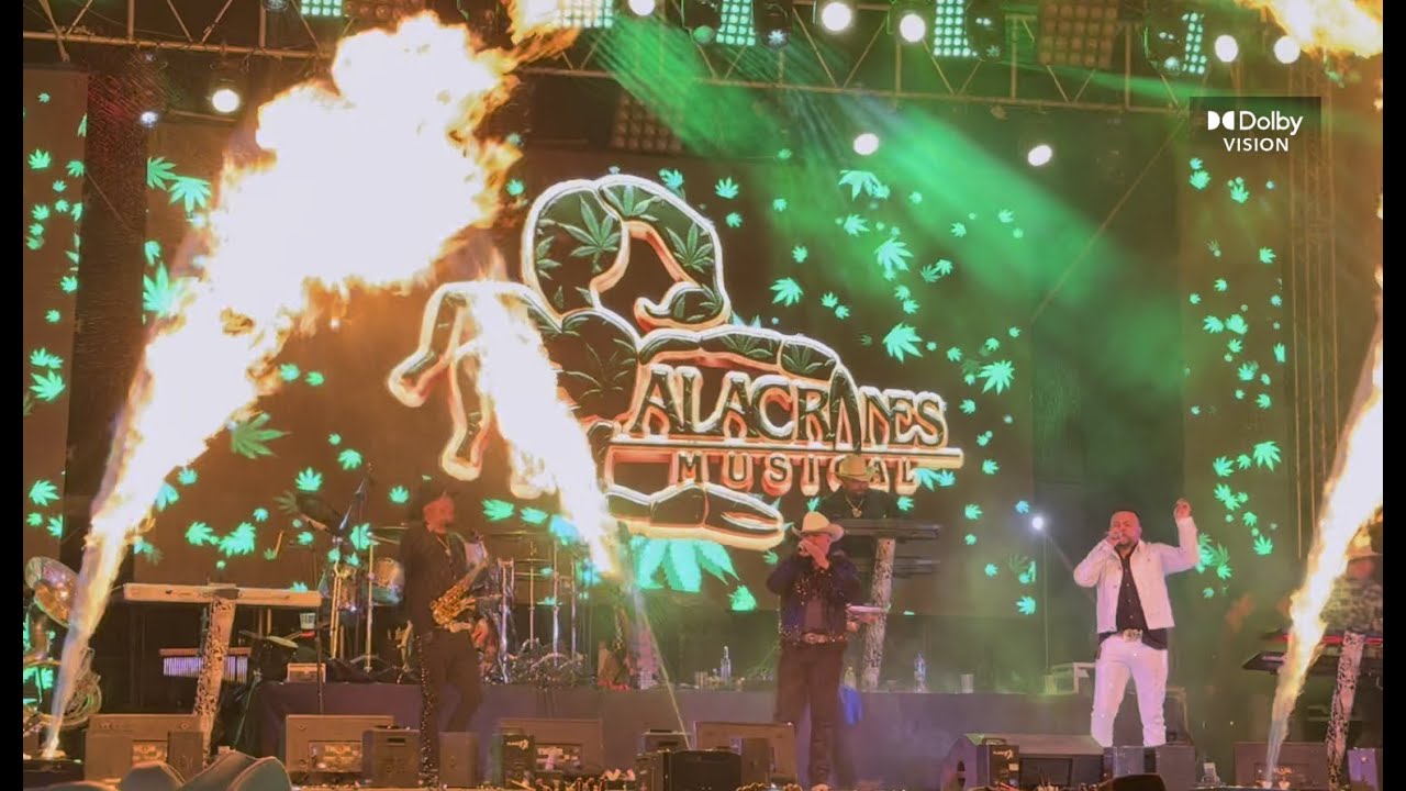 Feria Regional Valparaiso Zac 2025