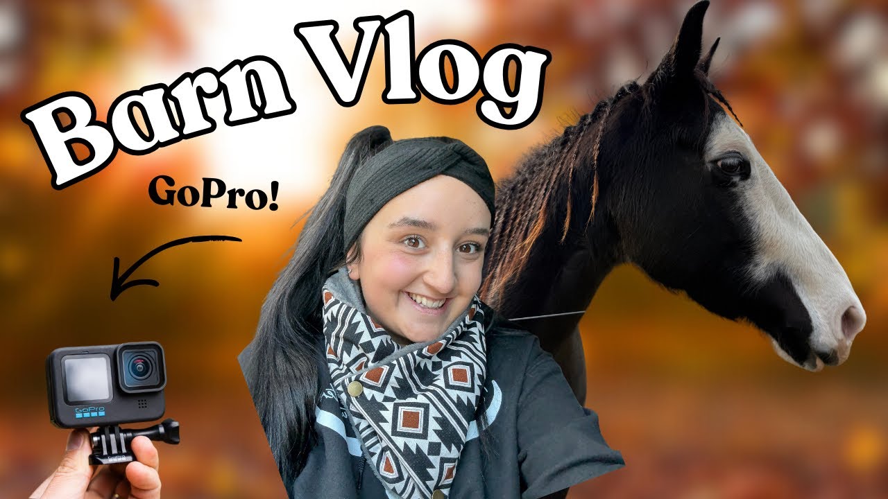 Barn Vlog! Grooming/tacking/training GoPro edition 