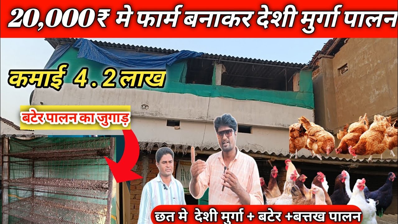 20,000 मे फार्म बनाकर  छत मे देशी मुर्गा + बटेर + बत्तख पालन कमाई 4.2 लाख #murgipalon  #baterpalan
