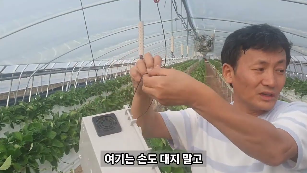 IoT 백엽상 사용 설명