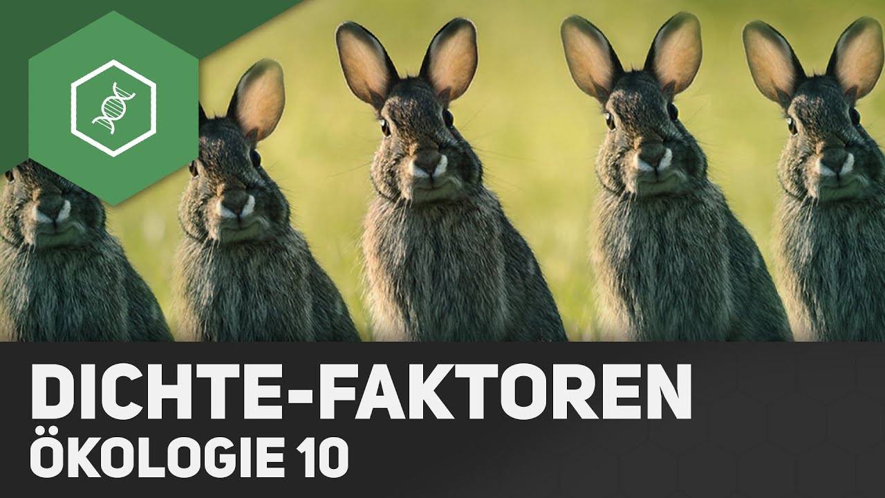 Dichteabhängige und dichteunabhängige Faktoren - Ökologie 10