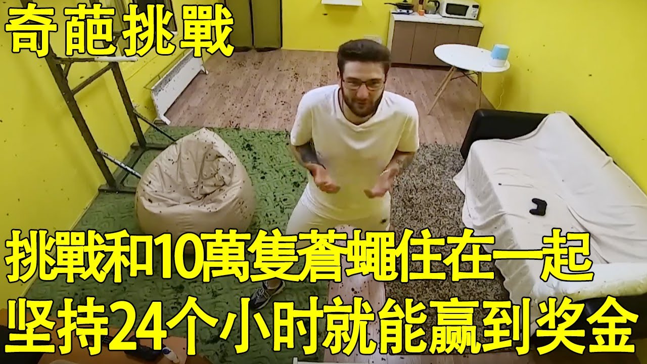 【奇葩挑戰】男人挑戰和10萬隻蒼蠅住在一起，密密麻麻實在噁心，但是堅持24個小時就能贏到1萬美金【K叔電影】