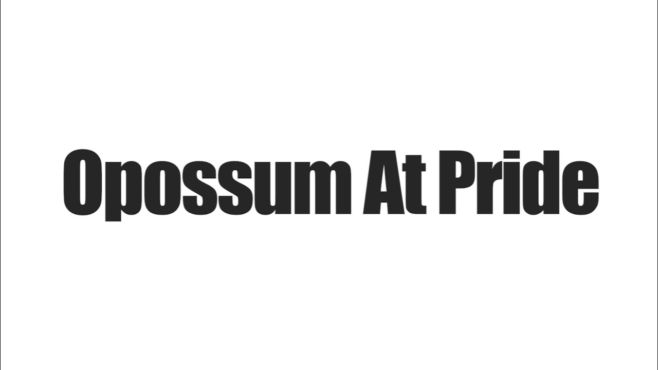 Opossum at Pride - Pride Project