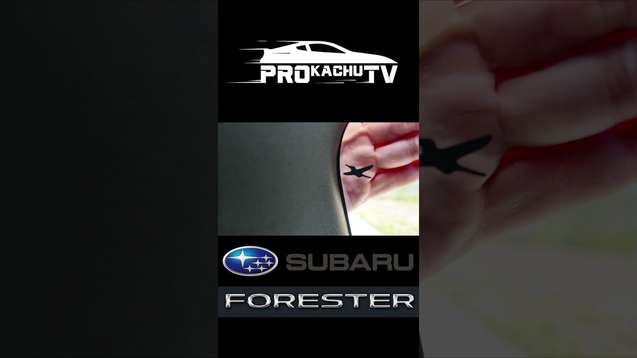 Утки в новом форике | Highlight с обзора Прокачу ТВ #prokachutv #subaru