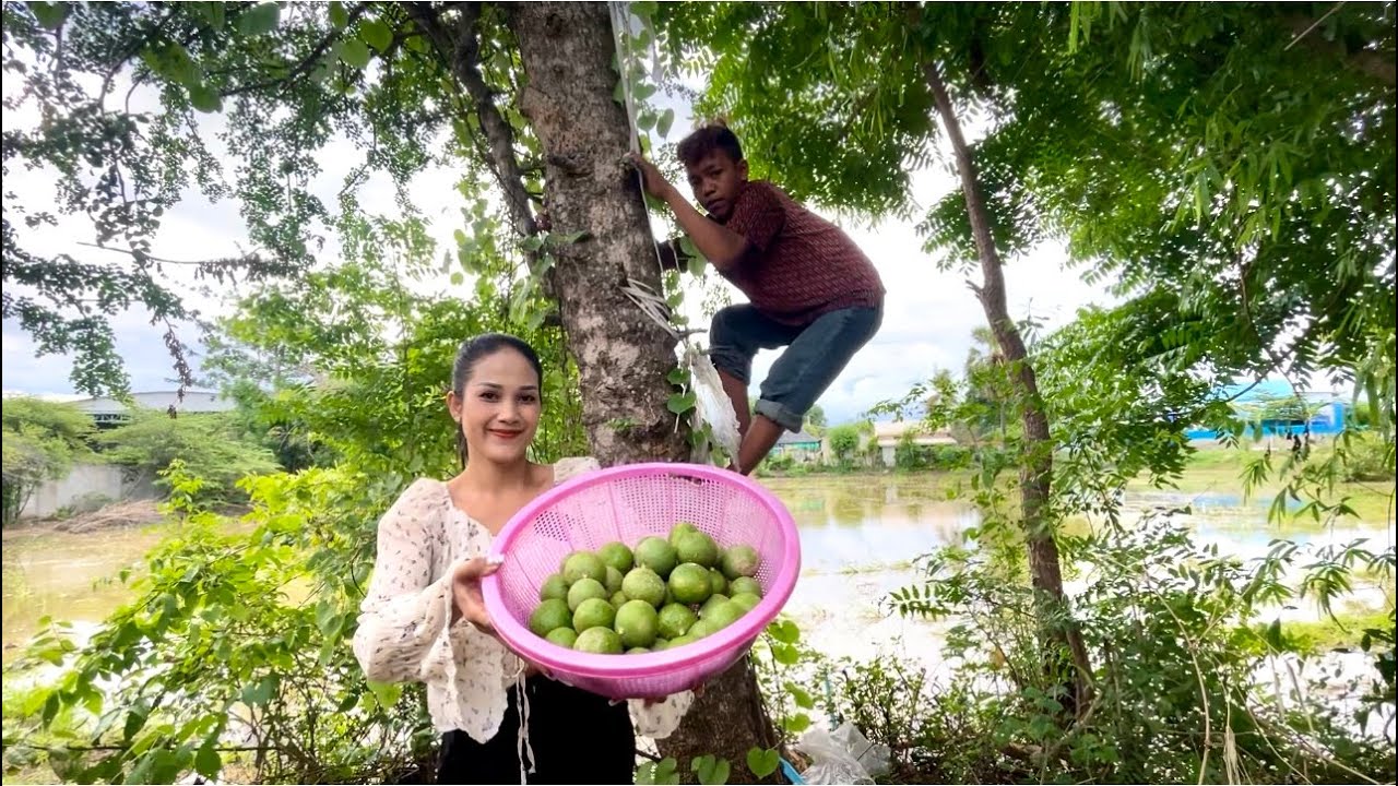 Harvesting Ferroniella Lucida From The Jungle Cooking Bok-Kra-sang