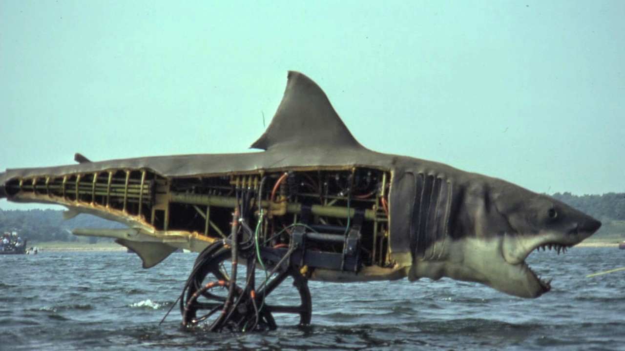 Shark Science for Shark Week