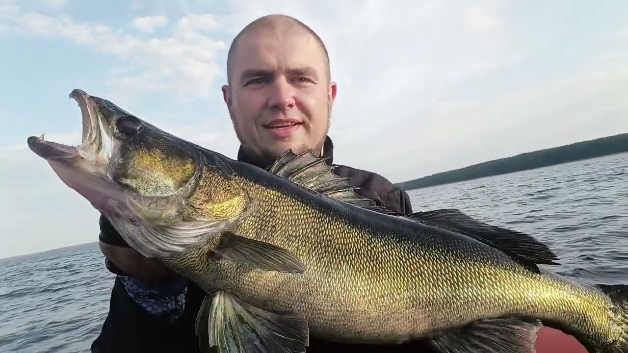 Shimano Poison Adrena как она держит рыбу