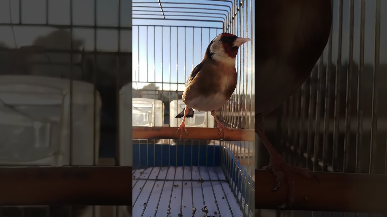 ربي يبارك ماشاء الله 