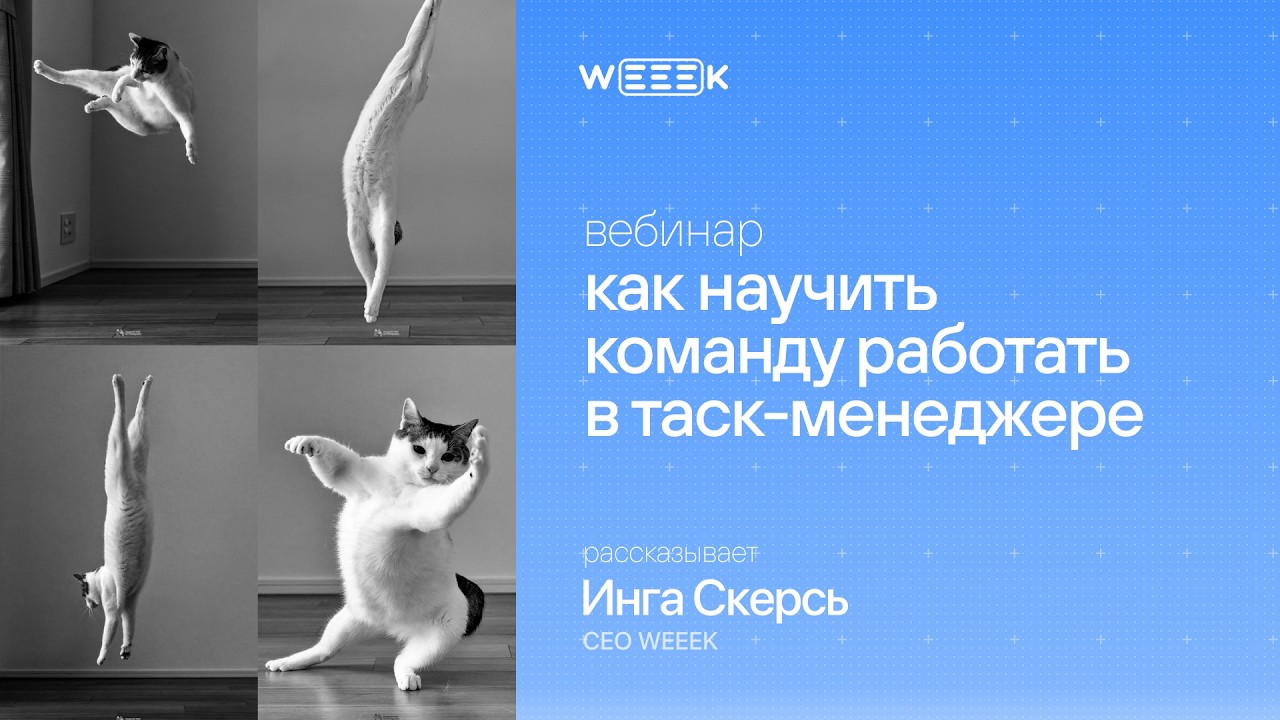 Как научить команду работать в таск-менеджере (вебинар 29.10 с СЕО WEEEK Ингой Скерсь