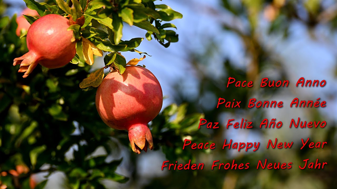 Pace e Buon Anno - Happy New Year, Bonne Ann&eacute;e, Frohes Neues Jahr - video di auguri da condividere