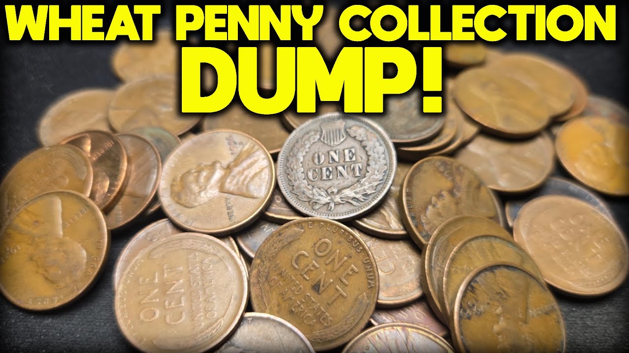 Свалка для сбора пшеничных пенни!!! (Охота за рулонами монет)