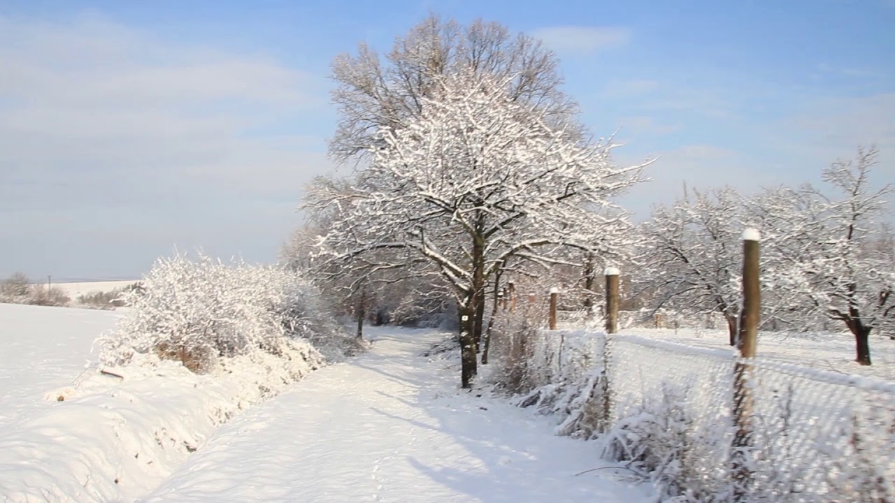 Heti egy kötelező. Irány a Szurok-hegy!