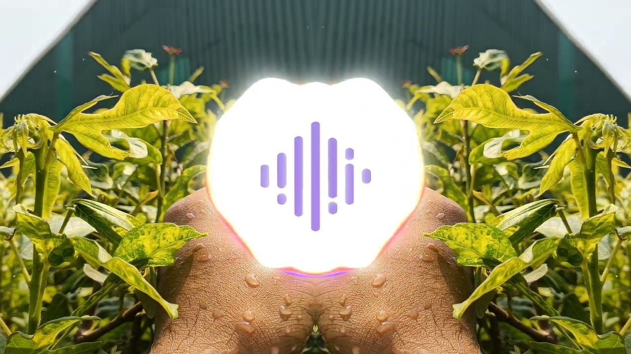 Chai party(slowed-reverb) bass-boosted 