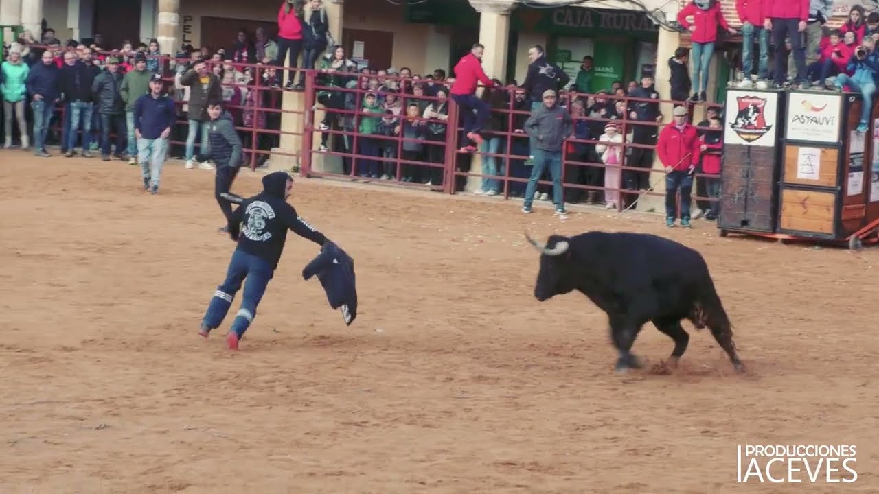 Toro de Adelaida Rodr&iacute;guez en Villalpando