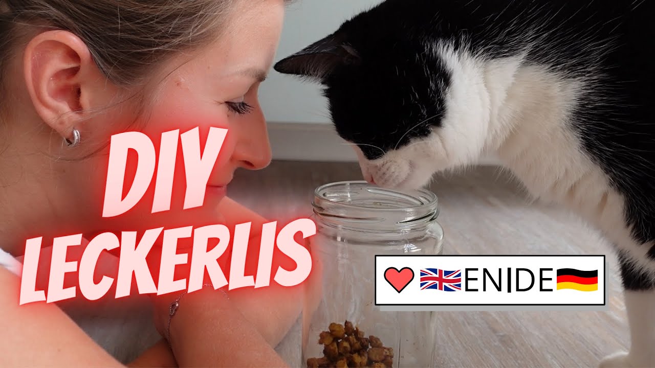 DIY Katzenleckerlis | DIY CAT TREAT