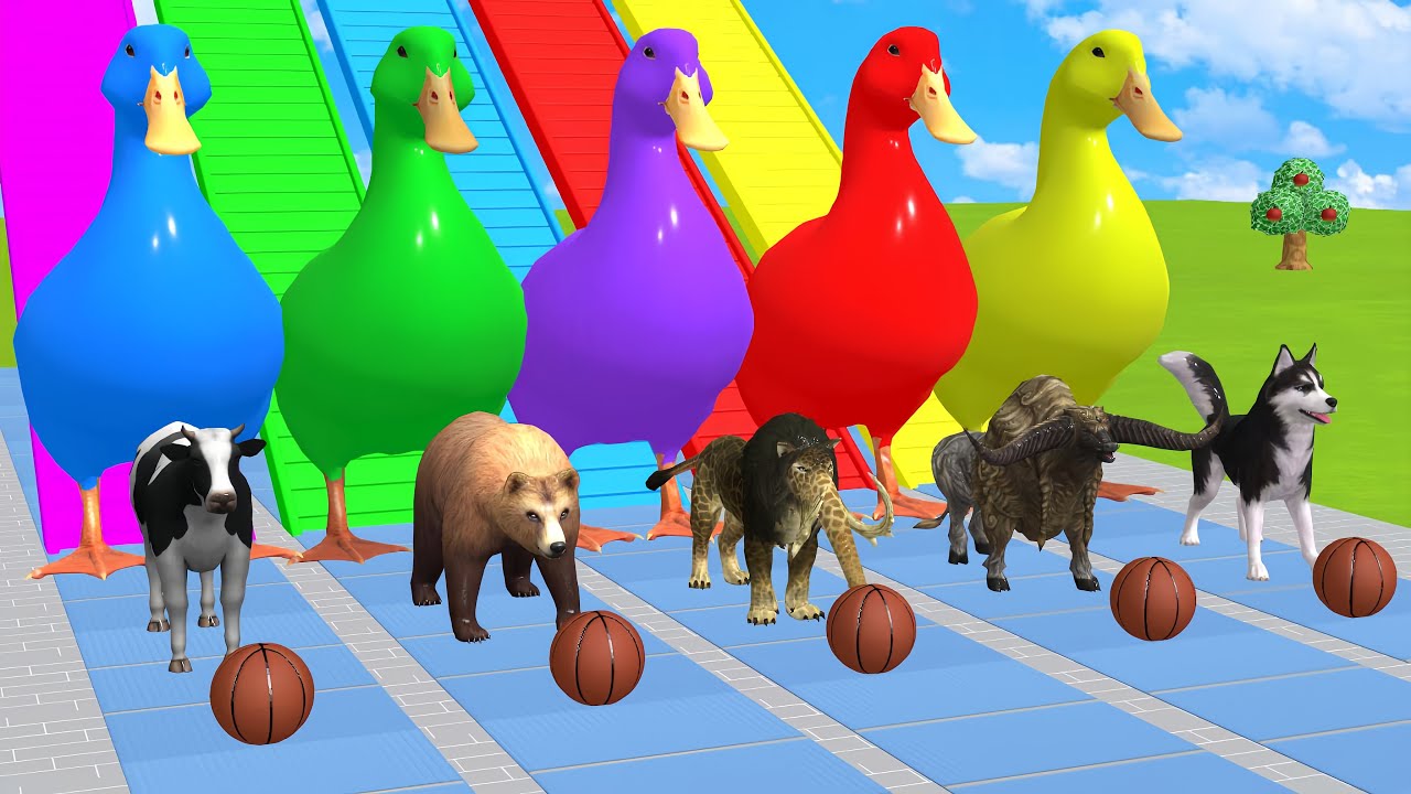 Long Slide Game With Cow Elephant Gorilla Hippopotamus Tiger 3d Animal Game Funny 3d Animals