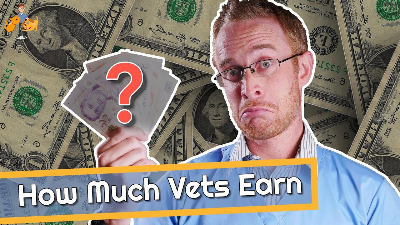 How Much Do Vets Make (are we all rich?)