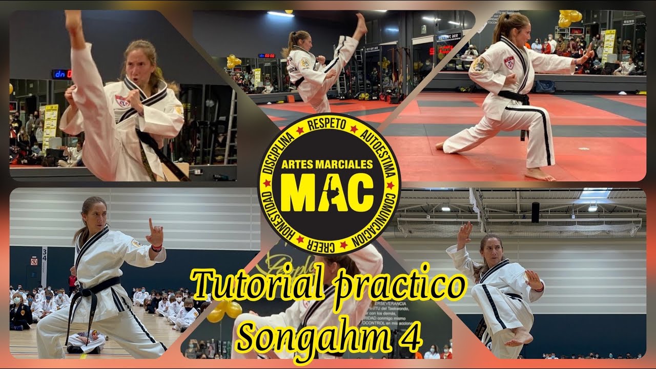 Tutorial práctico del Songahm 4
