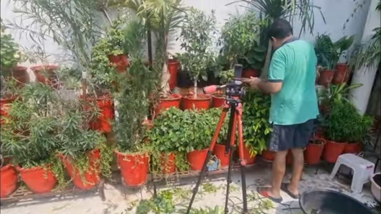October Gardening Works || Do THESE Gardening Works in October || Fun Gardening
