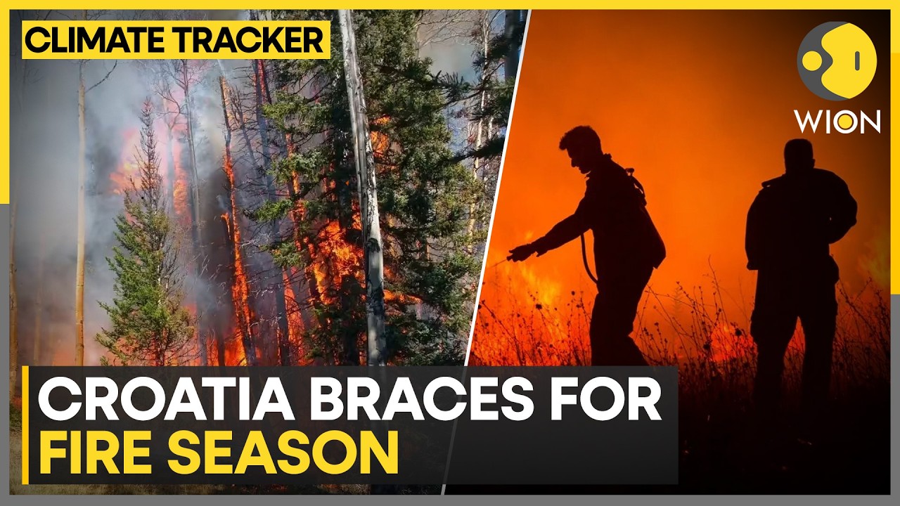 Croatia Wildfire: Wildfires Rage Across Croatia As Emergency Crews Battle Flames | WION News