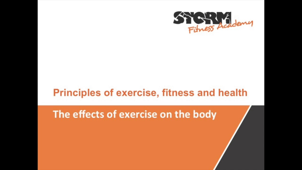 The effects of exercise on the body