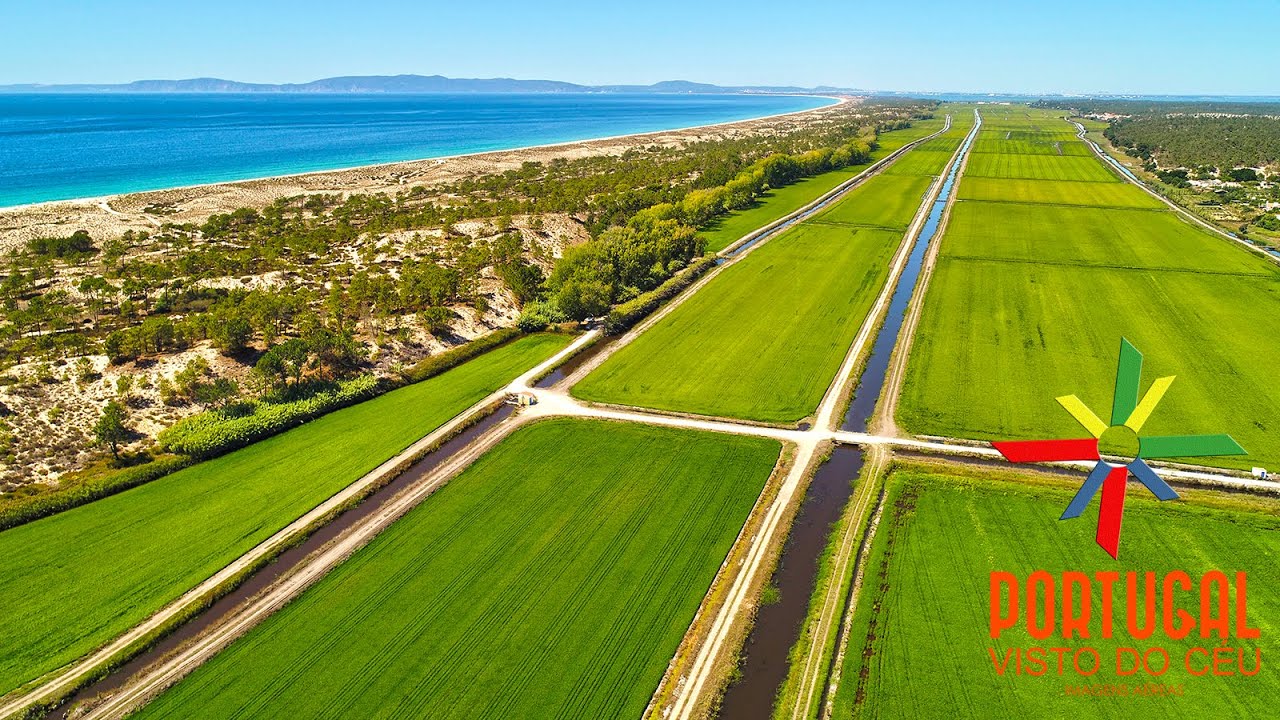 Carvalhal beach 🏞️ Rice fields - Praia do Carvalhal - Campos de arroz - Comporta - 4K UltraHD