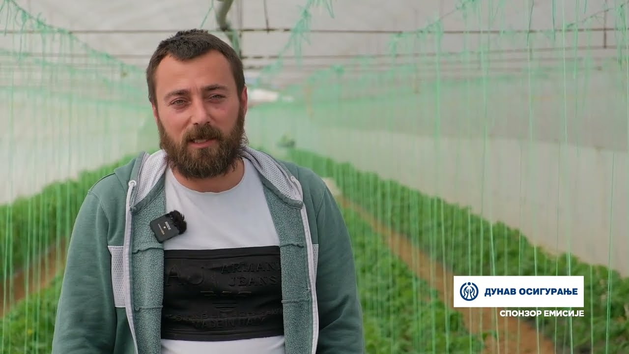 Složno, uspešno! ep. 267 29.04.2025.  Porodično gazdinstvo Stojiljkovića iz Stajkovca, paradajz