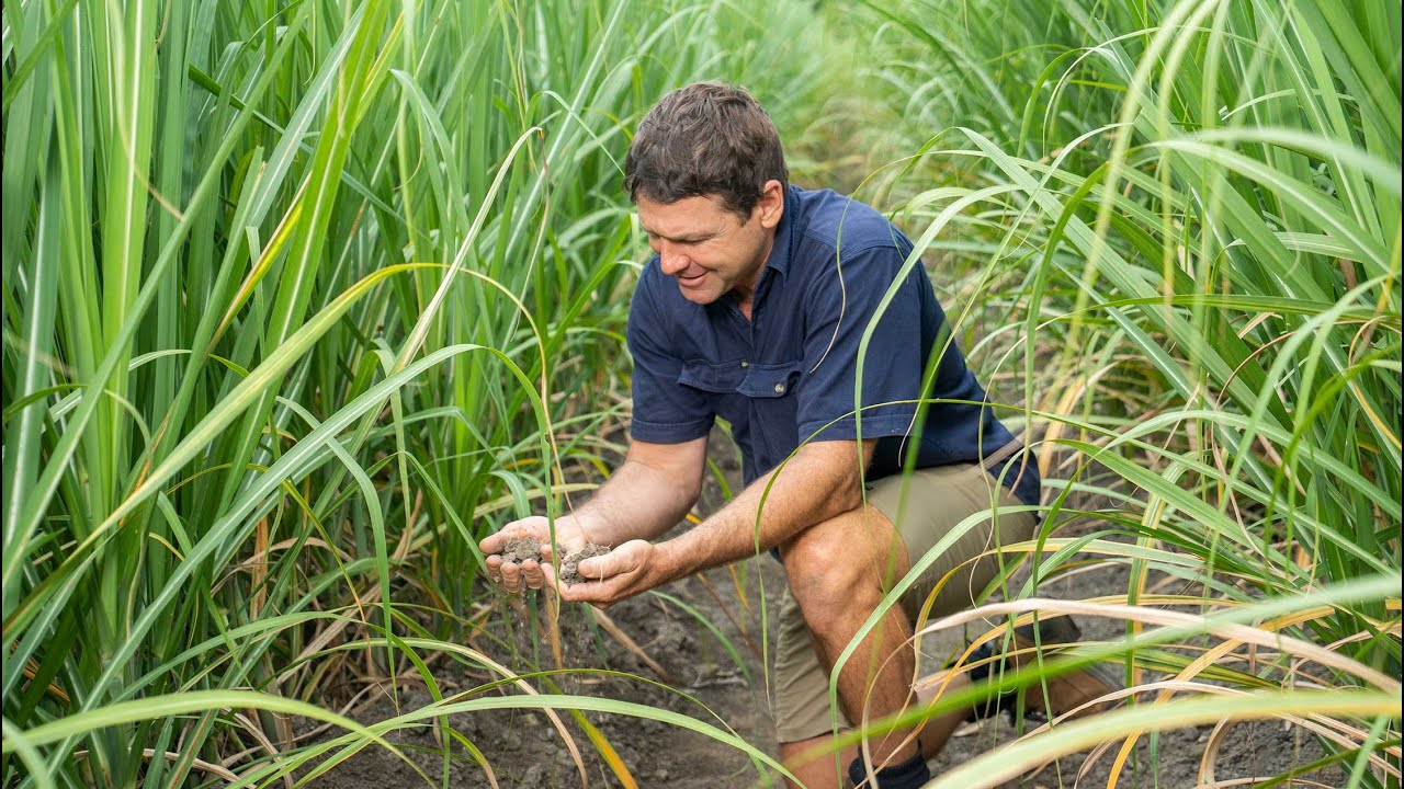 Reef Credits - Working with landholders to improve water quality and farming business goals