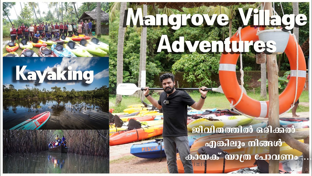 mangrove village adventures | ജീവിതത്തിൽ ഒരിക്കൽ എങ്കിലും നിങ്ങൾ കായക് യാത്ര പോവണം കേട്ടോ #kayak