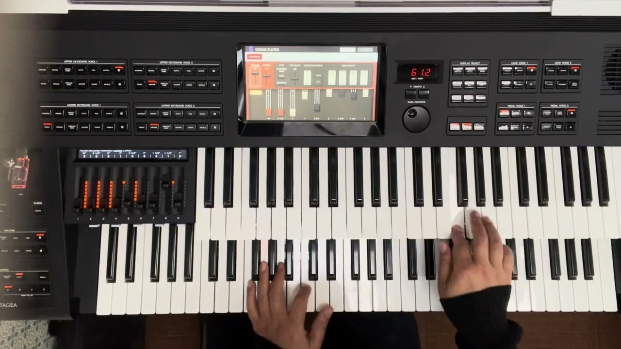 Yamaha  new organ ELS-03X  Isn't she lovely? 