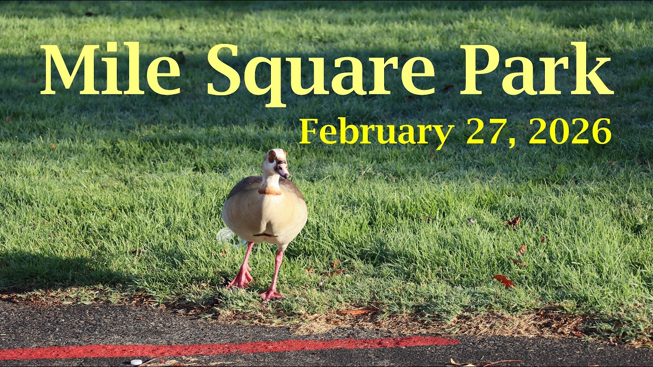 Mile Square Regional Park, February 27, 2026