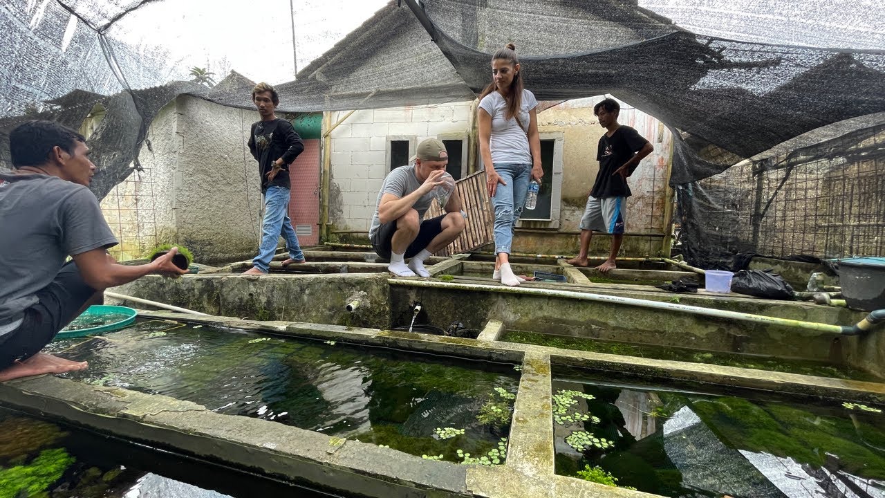 🔴 [LIVE] Jalan-jalan ke Farm Kang Bidin Bareng Marian Sterian Part 2