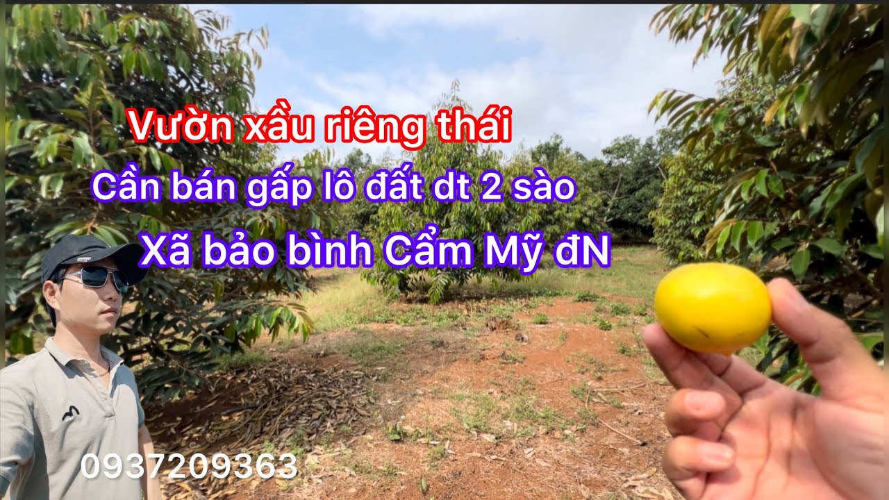 Bán lô đất xã bảo bình dt 2 sào Vườn xầu riêng thái đất đỏ thích hợp làm nhà vườn ở