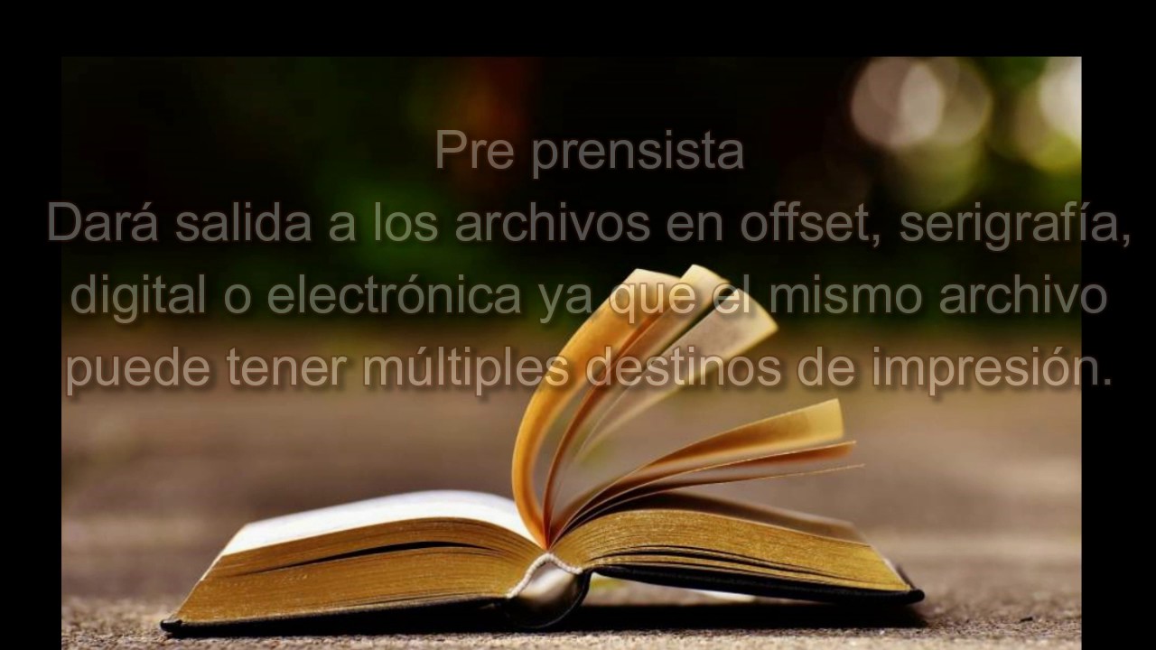 La edici&oacute;n | proceso y fases