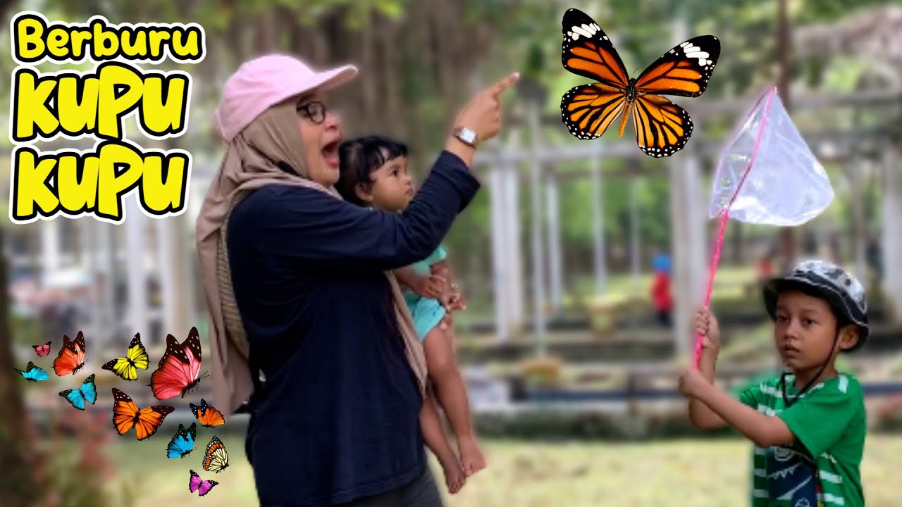 Menangkap Kupu Kupu di Taman ! Kita Dapat Banyak Kupu-Kupu Cantik Berwarna Gelap dan Cerah