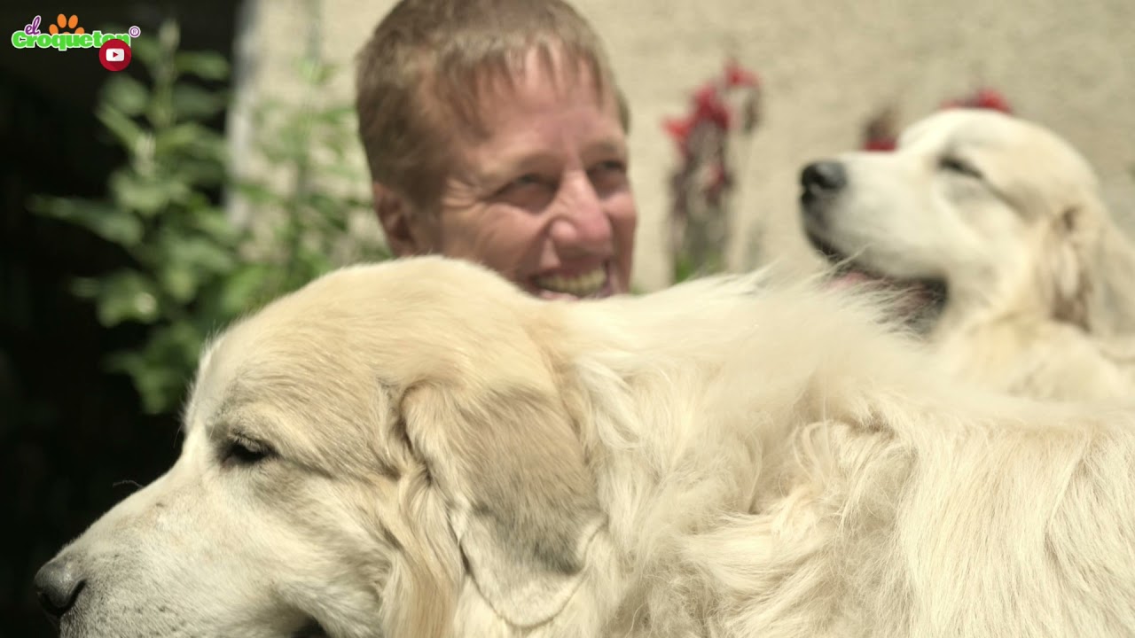 XAVIER VELASCO Y SUS PERROS, entrevista completa con sus Gigantes de los Pirineos y El Croquetón