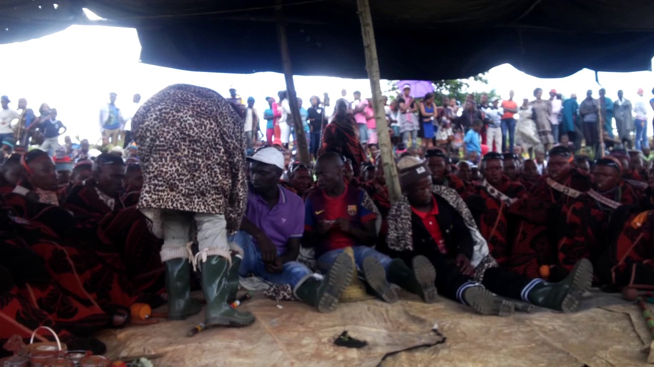 Makoloane a Koma-Koma 2014