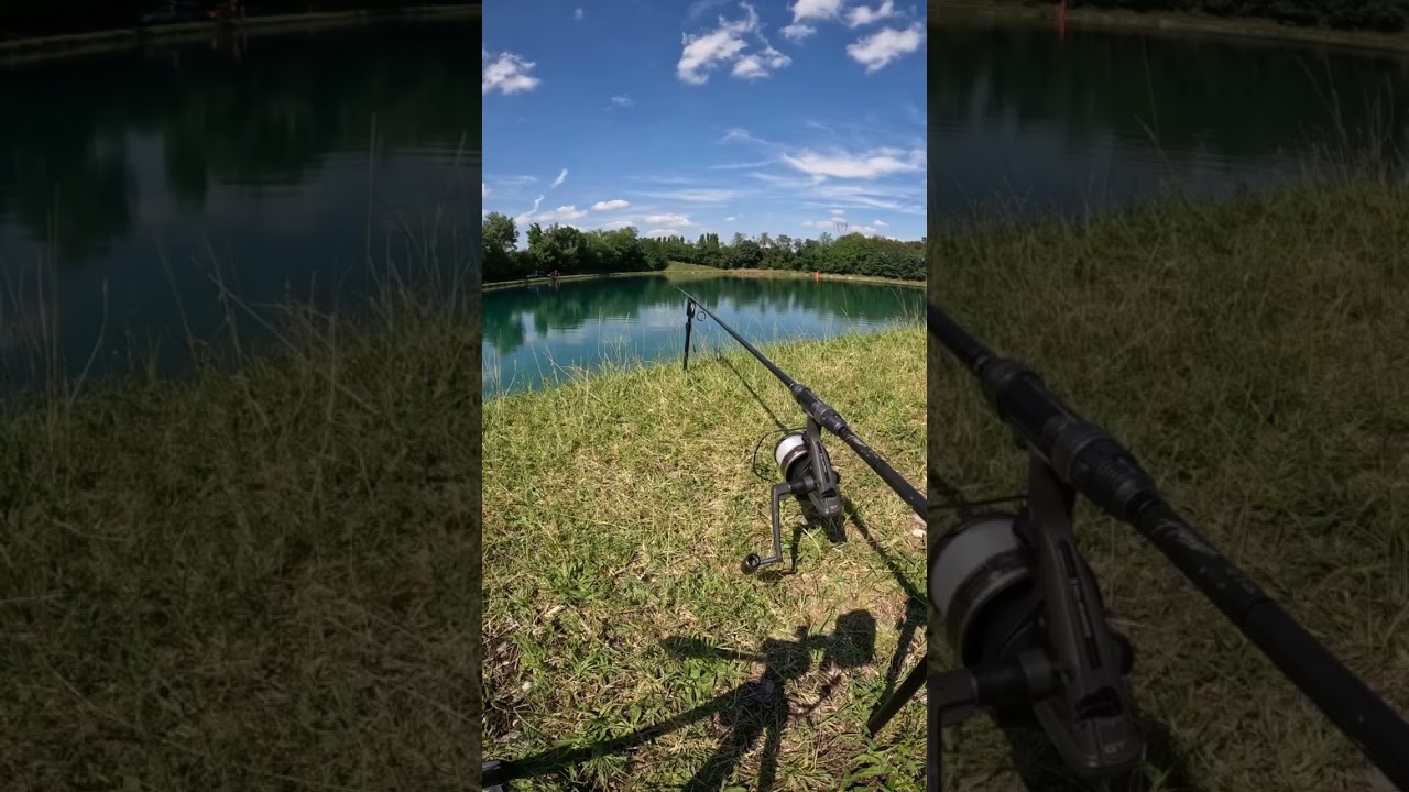 CRAZY CARP RUN🤯🔥