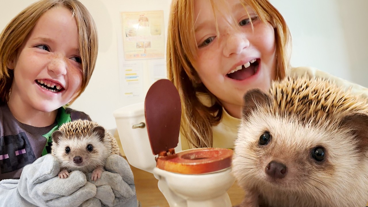 BABY HEDGEHOG BABYSiTTERS!!&nbsp; Adley and Niko play with a Bunny, a Labubu, & Animals in a Japan Cafe