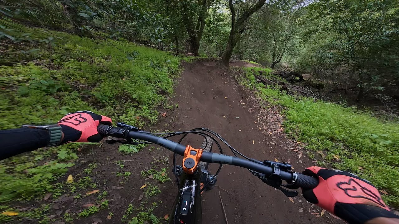 Briones Mountain Biking - Curl of the Burl, Isaacs, Texas Toast, Hank & Frank