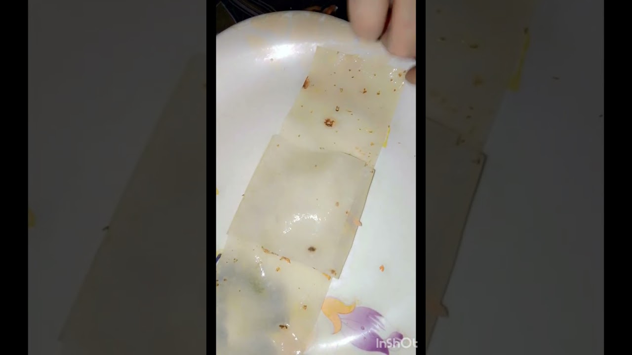 Chicken and vegetable Samosa recipe 
