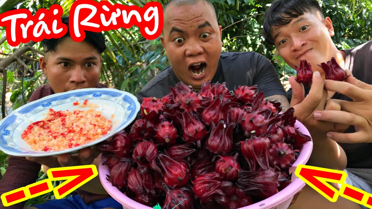Thánh Xàm Thử Ăn Giấm (Trái Rừng) Chấm Muối Ớt Độc Lạ