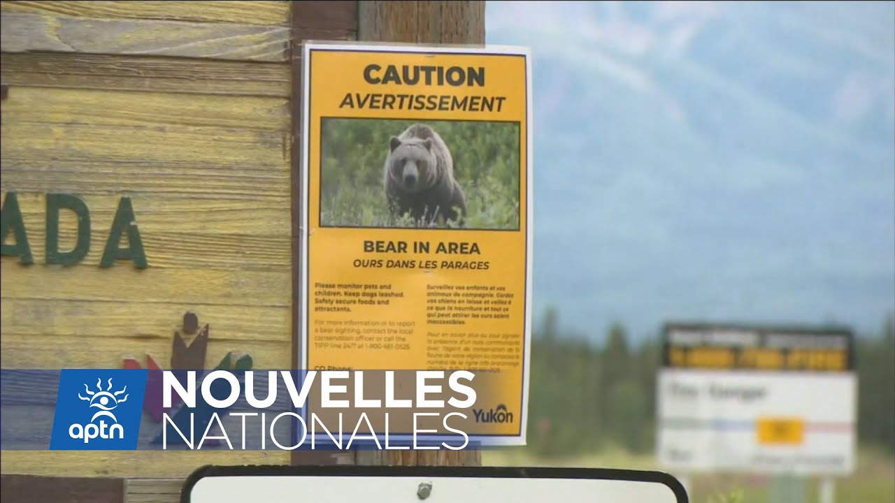 Une femme a survécu à l'attaque d'un grizzly grâce à un accessoire surprenant