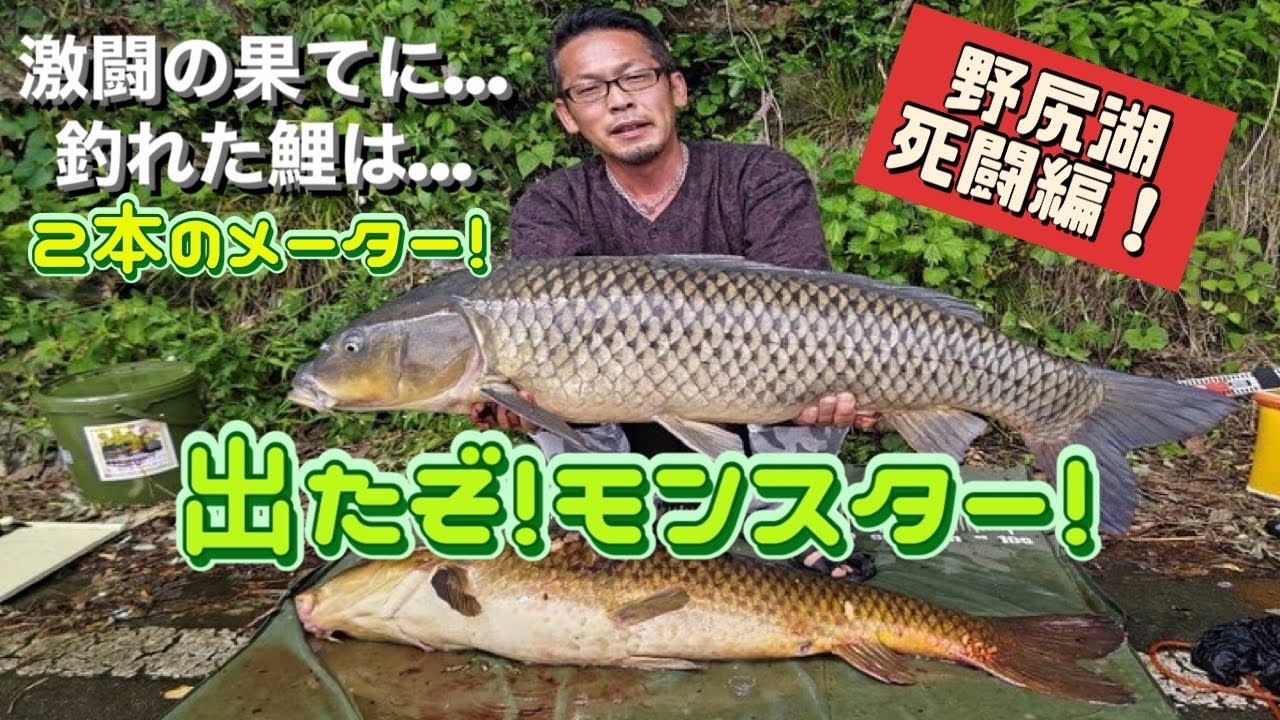石くんの鯉釣り121野尻湖のメーター！編！