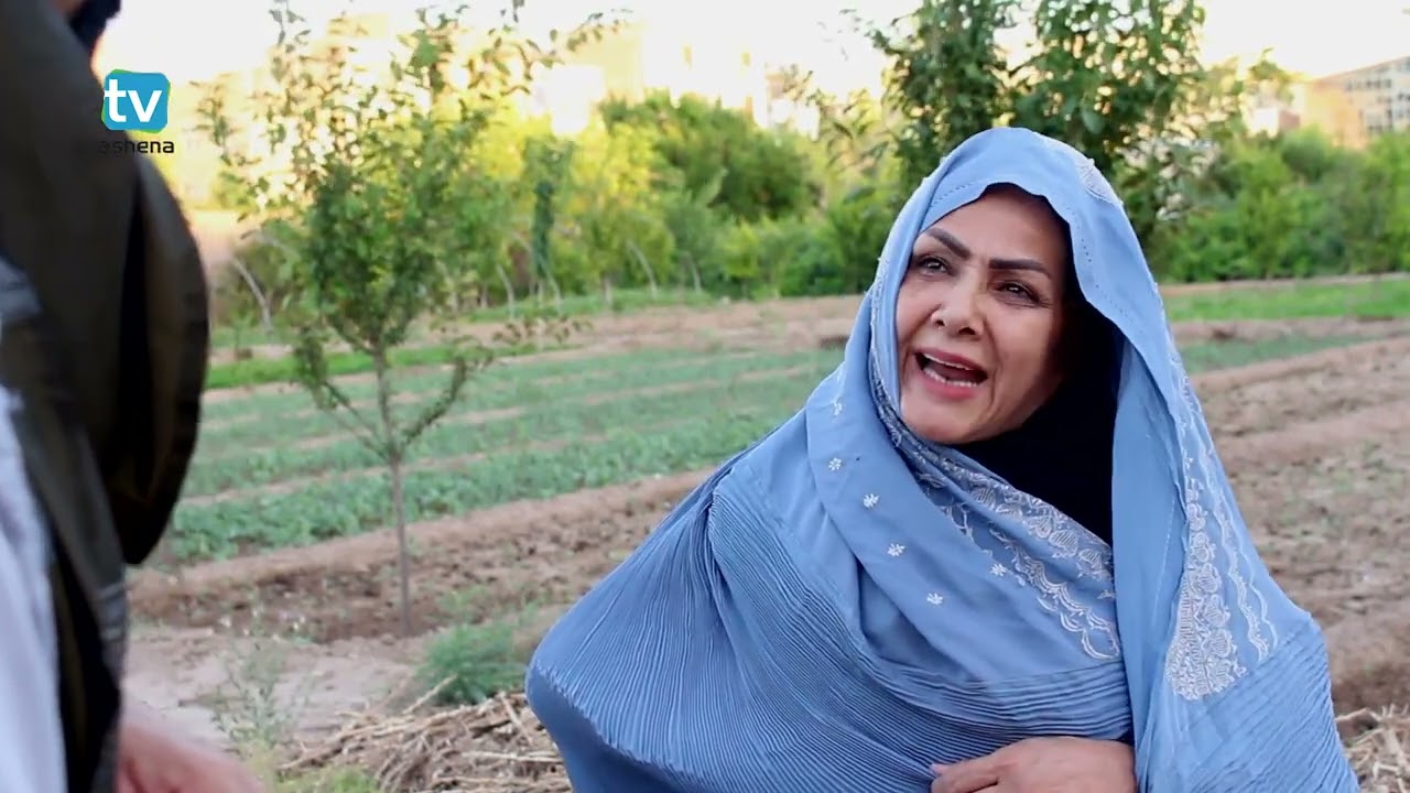 سریال طنز هراتی قندی ۱۰ | Afganistan Serial Ghandi Gol 10