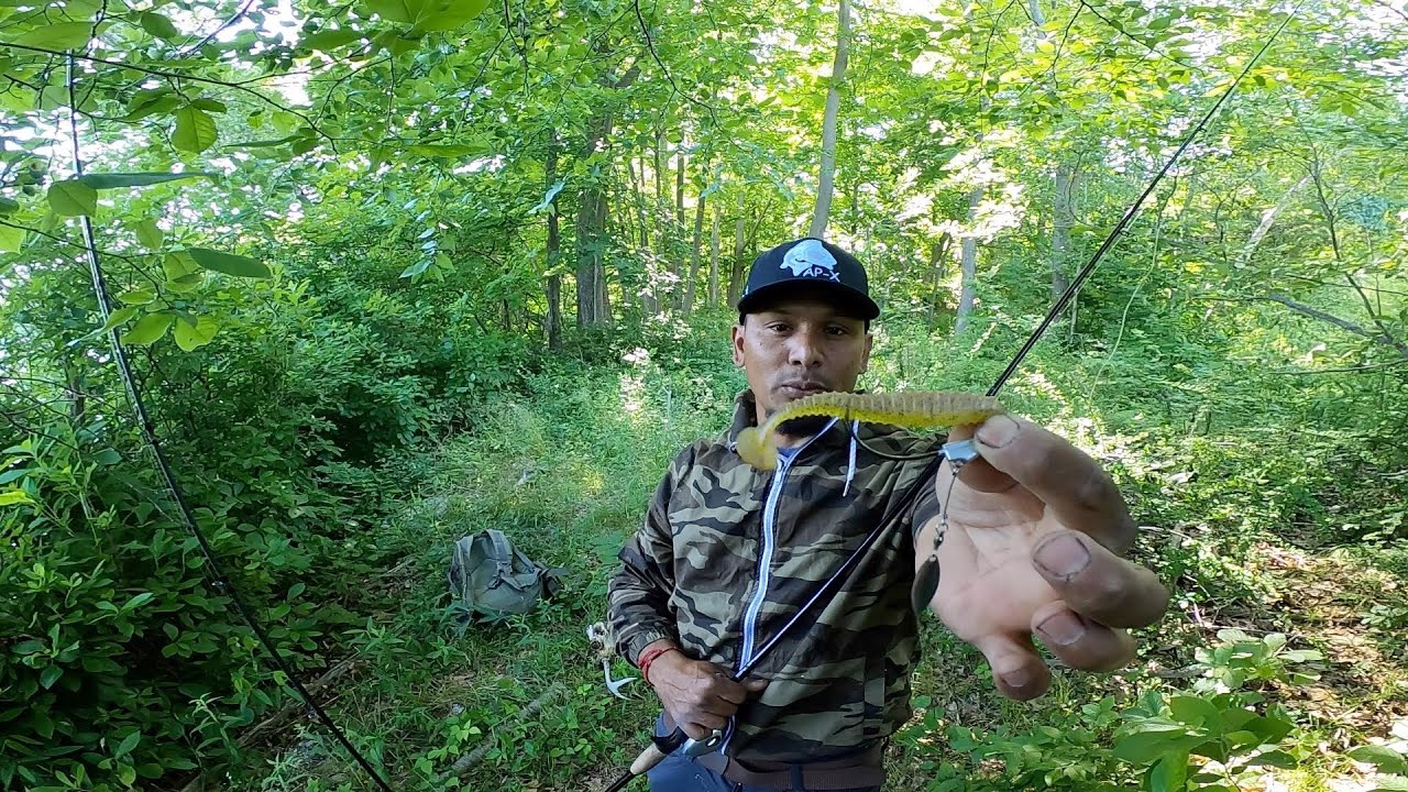 EL Mejor Señuelo de Reacción en agua clara