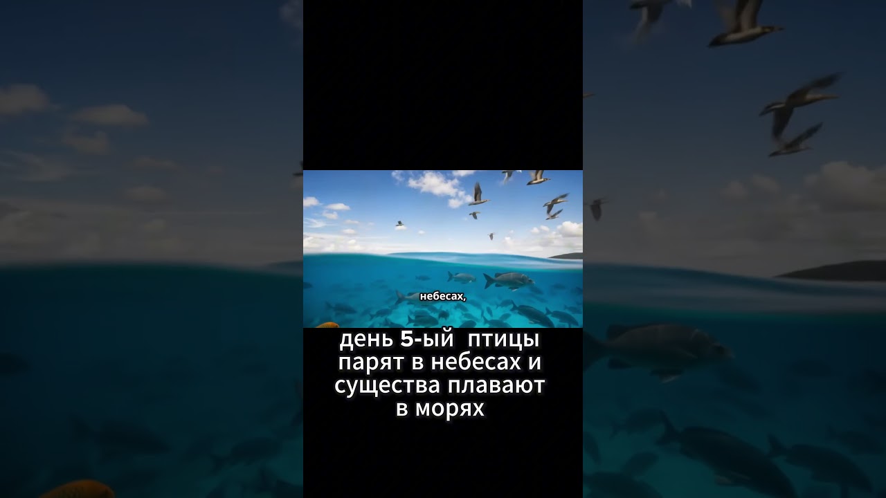 Шесть дней творения  как формировался наш мир