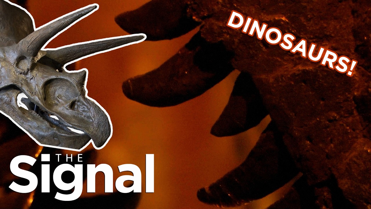 Dino skeletons take over Museum of Natural History