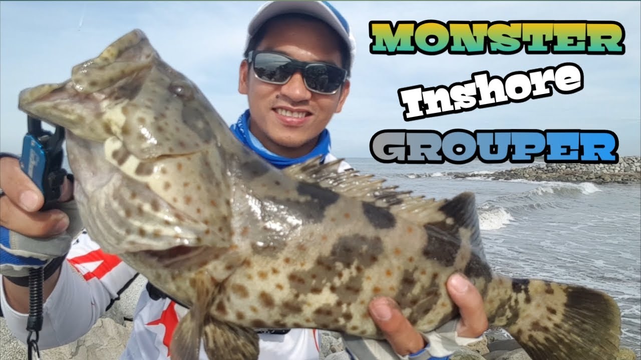 HOW TO CATCH GROUPER ON SHORE | INSHORE GROUPER | P.B grouper