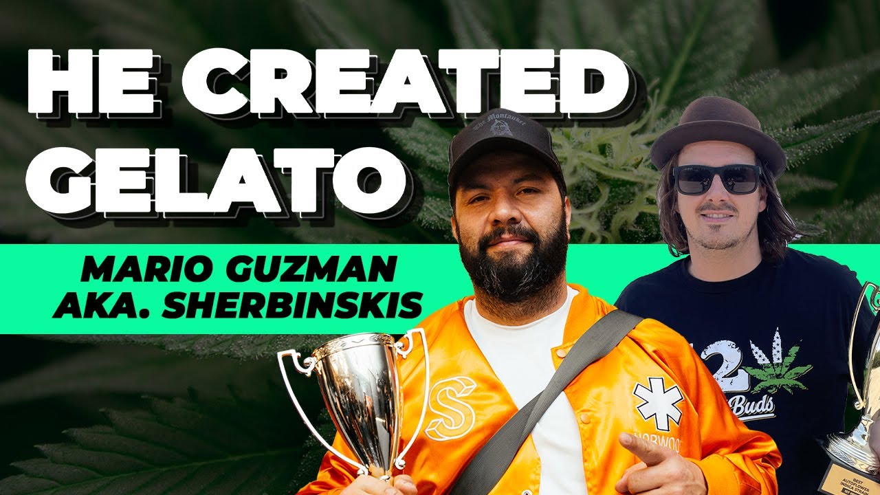 He created GELATO | Fast Buds Talks with Mario Guzman aka Sherbinskis